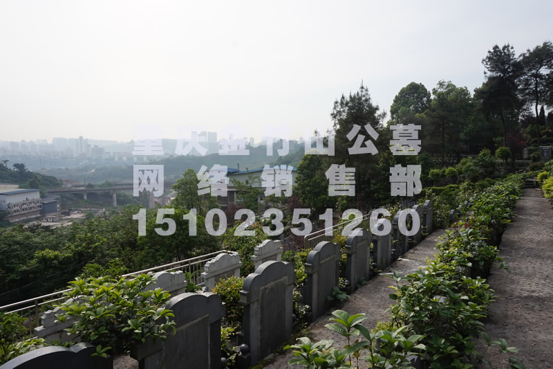 金竹山公墓风景图