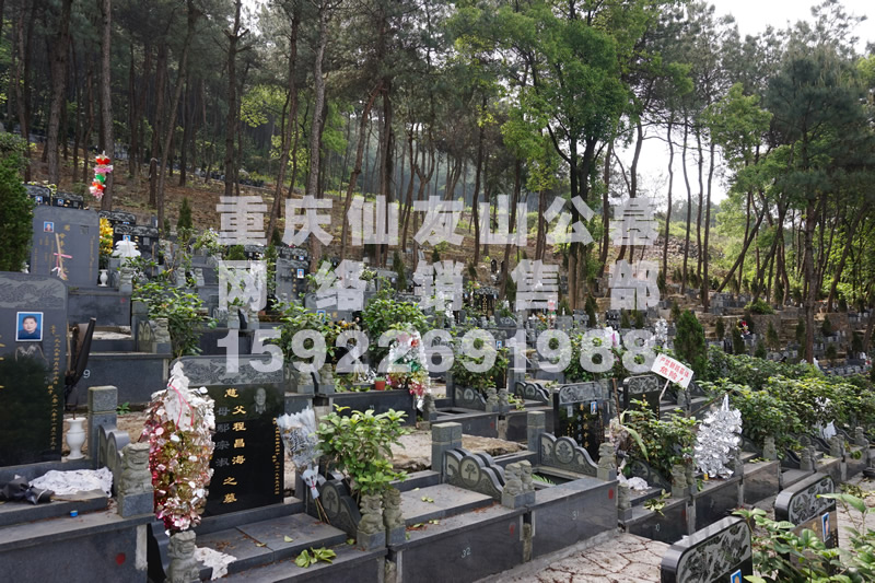 仙友山公墓墓型