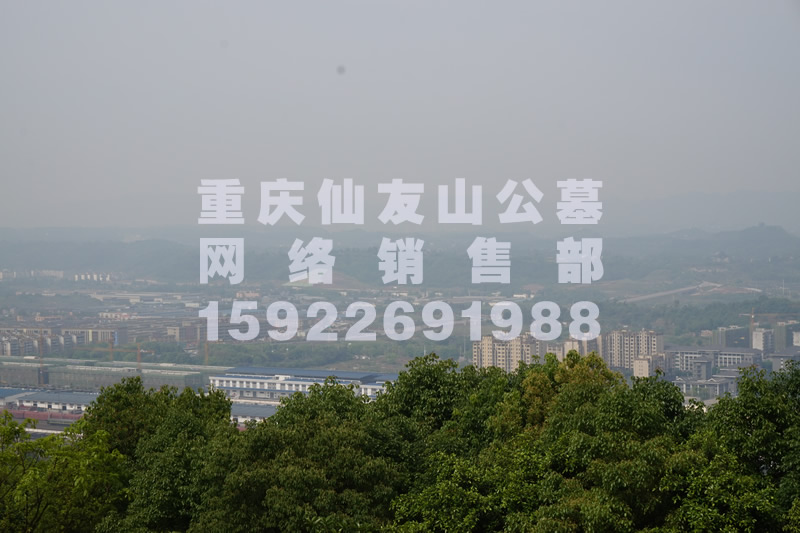 仙友山公墓风景图