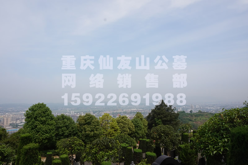 仙友山公墓风景图
