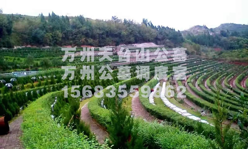 万州天台山公墓风景图