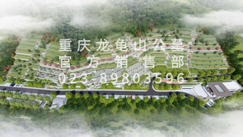 綦江龙龟山公墓风景图